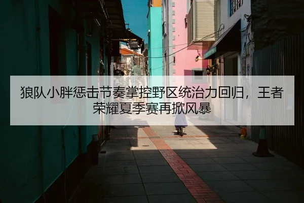 狼队小胖惩击节奏掌控野区统治力回归，王者荣耀夏季赛再掀风暴