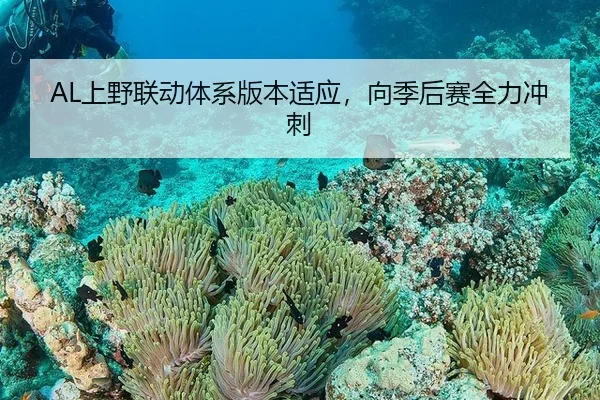 AL上野联动体系版本适应，向季后赛全力冲刺